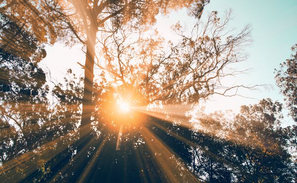 ภาพขนาดย่อ